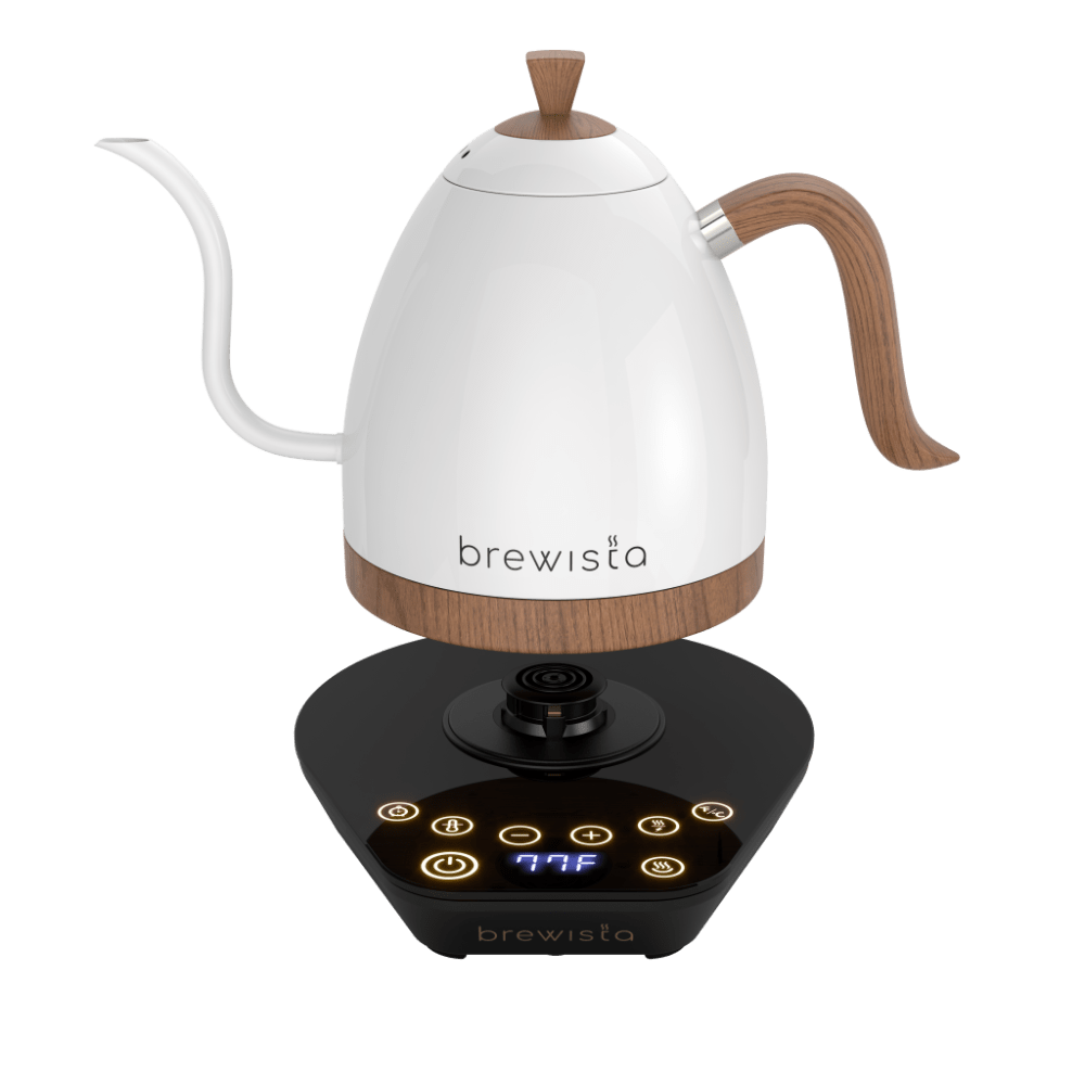 Brewitsa-Stainless Steel Electric Coffee Kettle, Gooseneck, Temperature  Control, 600ml