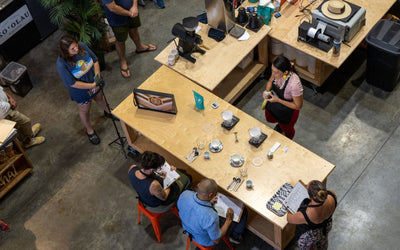 Hawai'i Brewers Cup Preliminary Lifting Up The Coffee Community