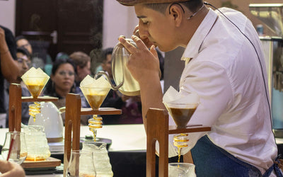 Interview with Yamil Quino Zapata: Bolivia's First Brewers Cup Champion