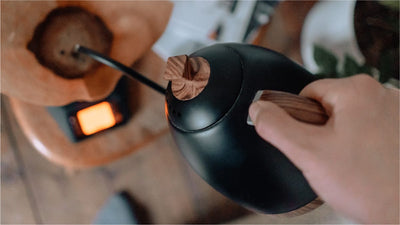 Brewista Artisan Electric Gooseneck Kettle - Matte Black – Whole Latte Love