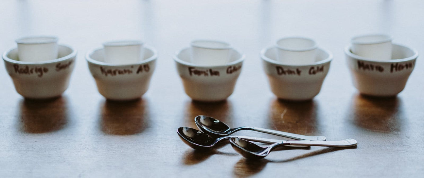 Brewista tasting cups and tasting spoons displayed in a line in a cafe counter