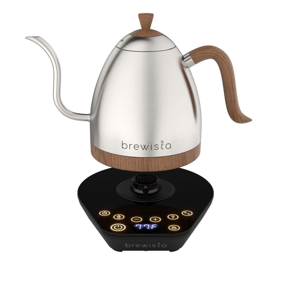 Artisan Electric Gooseneck Kettle