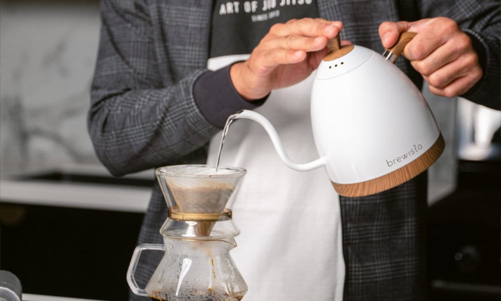 Brewista artisan kettle best sale